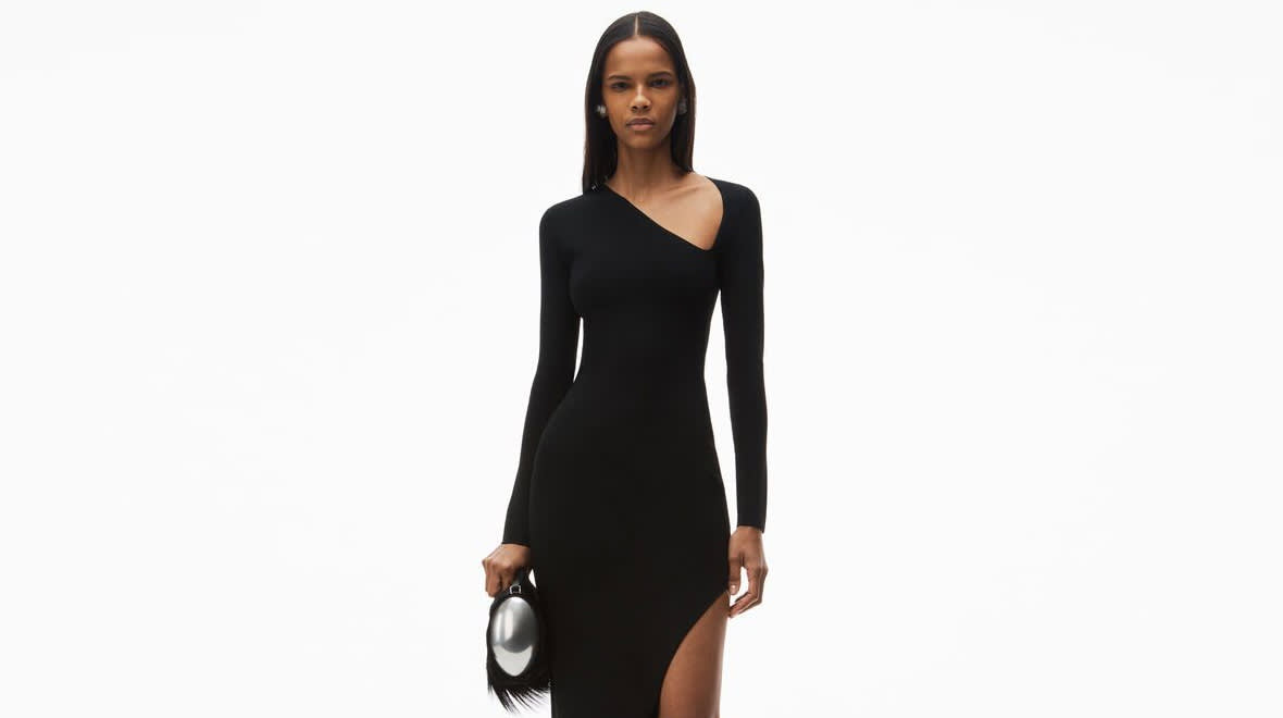 ALEXANDER WANG DSK PLP Banner