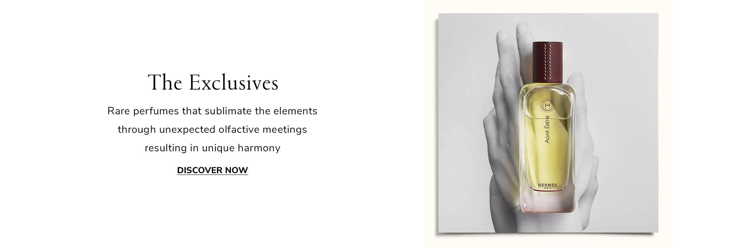 Element 1 Web EN WK1