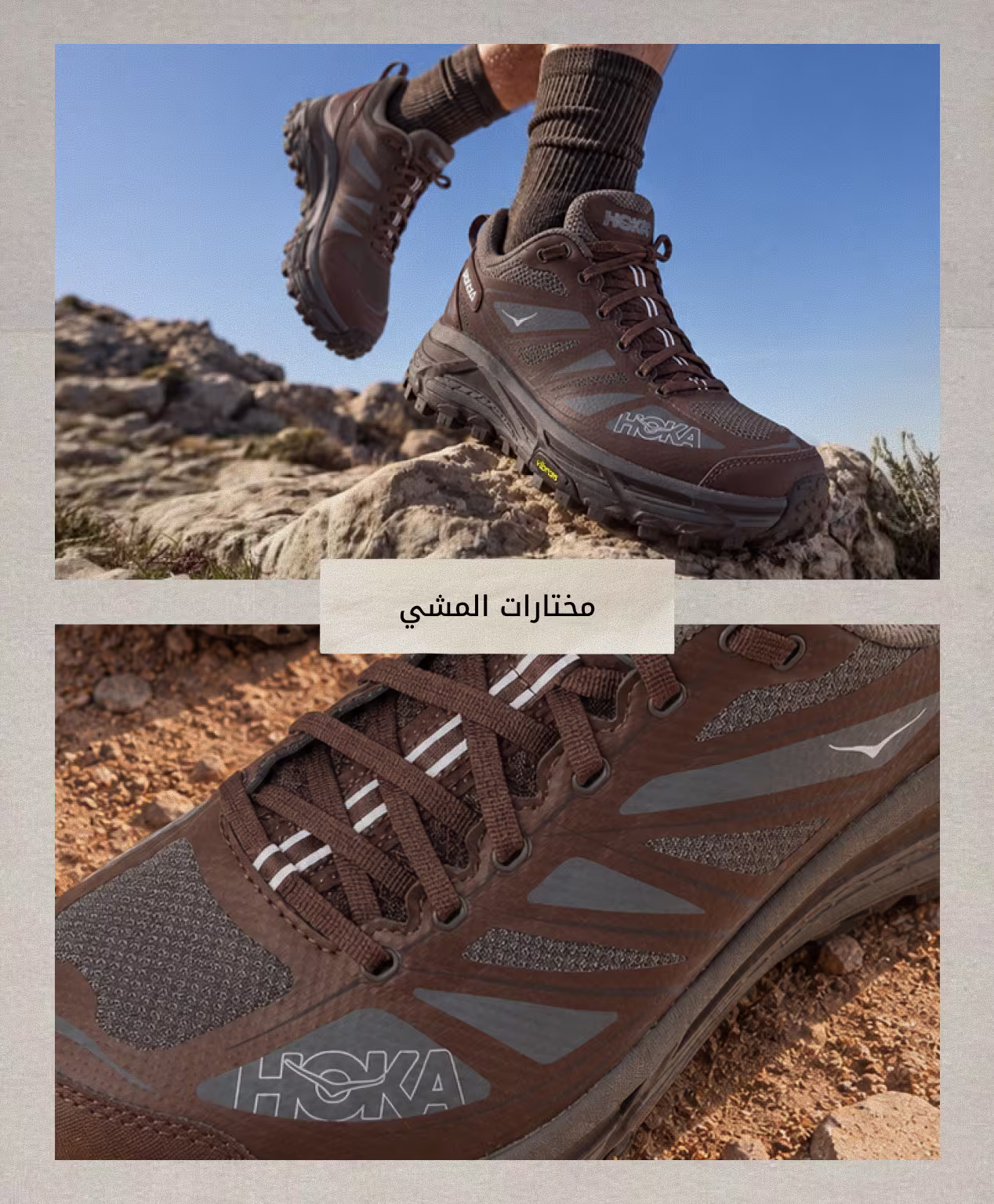 Trail AR DSK