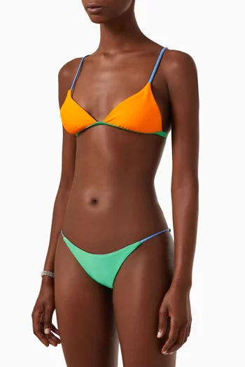 The String Bikini Briefs