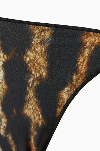 The C Bikini Briefs in Recycled-nylon