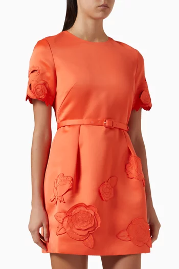Aurelie Applique Mini Dress