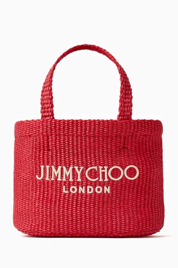 Mini Beach Tote Bag in Raffia
