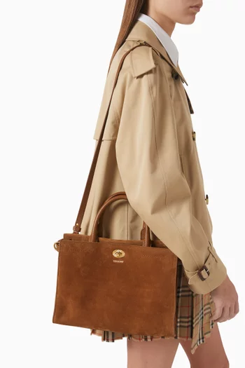 Small Cotswolds Tote Bag in Suede