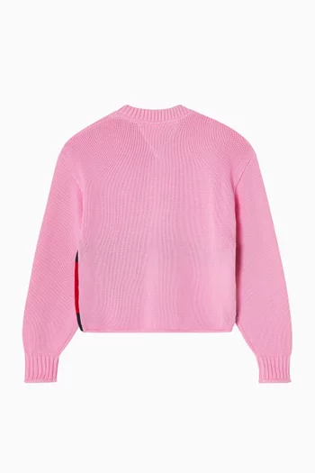 Heritage Flag Sweater in Knit