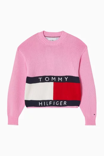 Heritage Flag Sweater in Knit