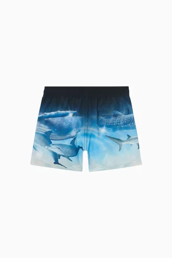 Niko Sunset Skate Swim Shorts