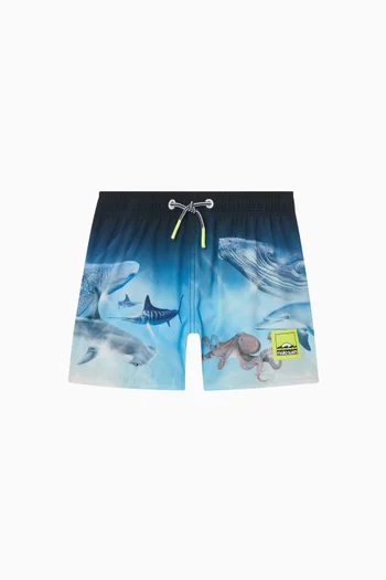Niko Sunset Skate Swim Shorts