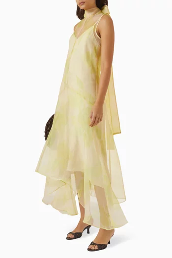 Auden Dress in Organza
