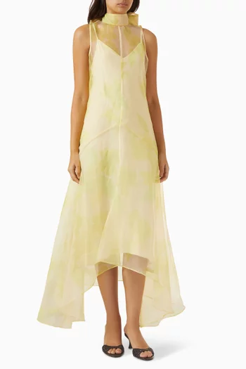 Auden Dress in Organza