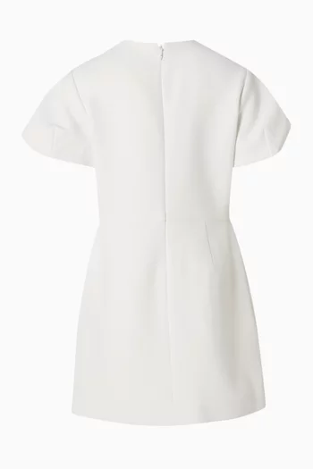 Embroidered Mini Dress in Crepe