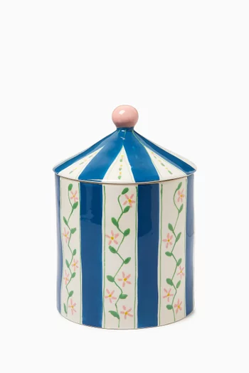 Flower Box in Ceramic