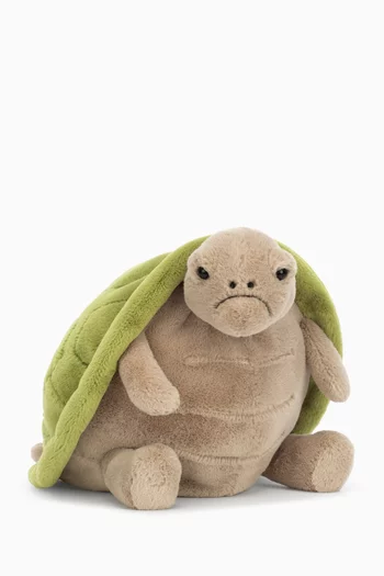 Timmy Turtle Soft Toy