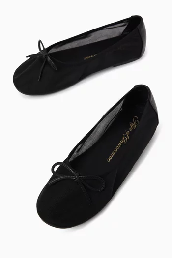 Laurie Ballerina Shoes in Mesh & Leather