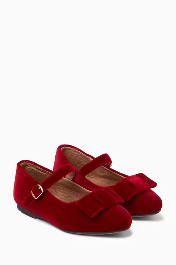 Ellen Ballerina Shoes in Velvet