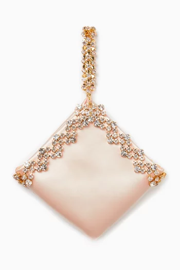 Karla Embellished Clutch in Satin