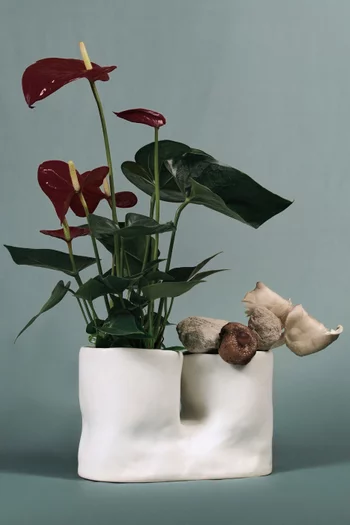 Tilia Double-sided Vase in Ceramic