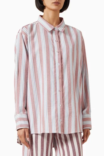 Classic Button Down Shirt in Cotton