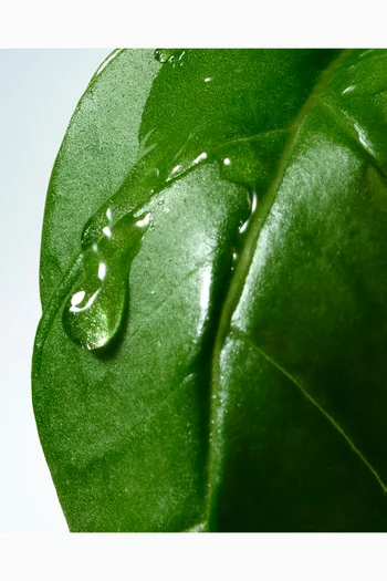 Basil & Hinoki Body Lotion, 360ml