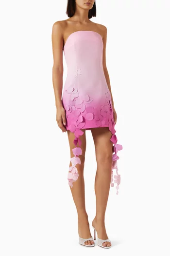 Sandia Mini Dress