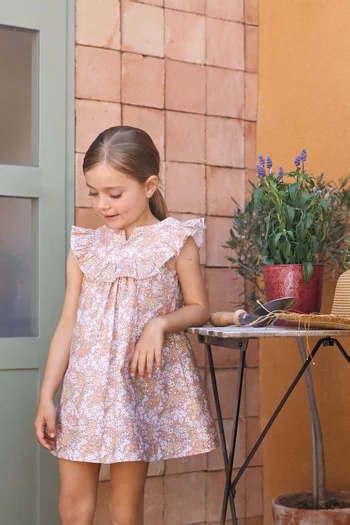 Picnic Printed Dress