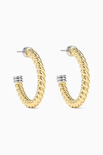 Small Sierra Rope Hoop Earrings in 14kt Gold-plated Brass