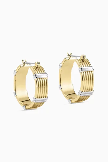 Two-tone Sierra Hoop Earrings in 14kt Gold-plated Brass
