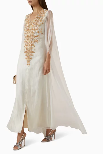 Embroidered Cape Dress in Organza