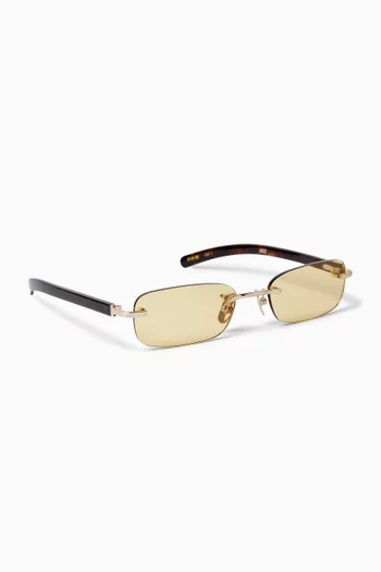 Milo Sunglasses in Titanium