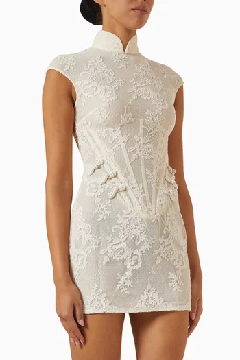 Bora Mini Dress in Lace