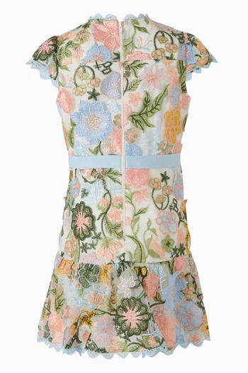 Rosalie Embroidery Mini Dress