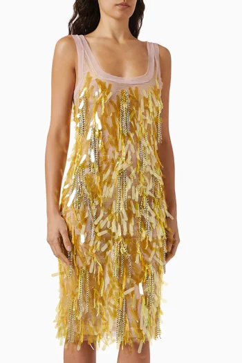 Shani Embellished Midi Dress in Tulle