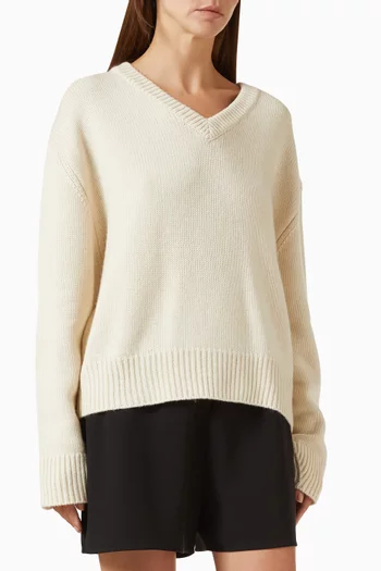 Yara V-neck Sweater in Knit