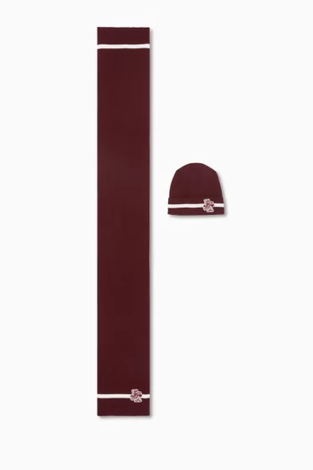 Beanie & Scarf Set