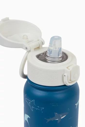 Open Water Stainless Steel Water Bottle