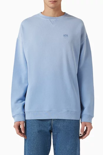 Ombre Anagram Sweatshirt