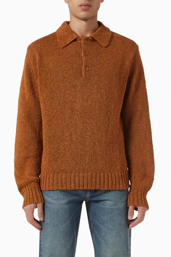 Polo Sweater in Knit