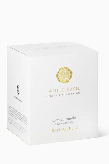 White Basil Scented Candle, 360g