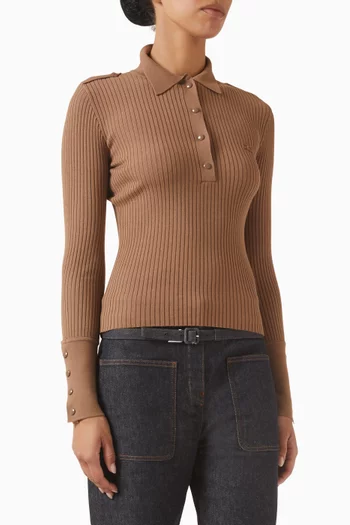 Ribbed Polo Sweater in Knit