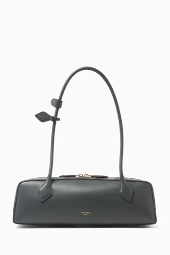 Medium Le Teckel Shoulder Bag in Calfskin