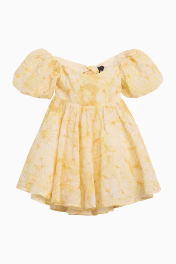 Adaline Embroidered Mini Dress