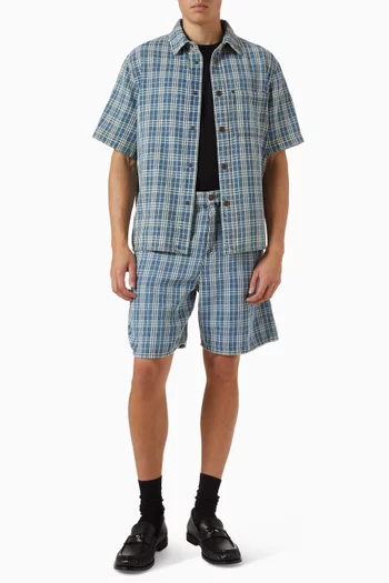 Donald Check-print Shirt in Denim