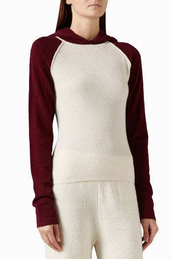 Raglan Hoodie in Knit