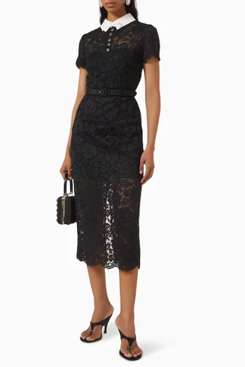 Contrast Collar Midi Dress in Lace