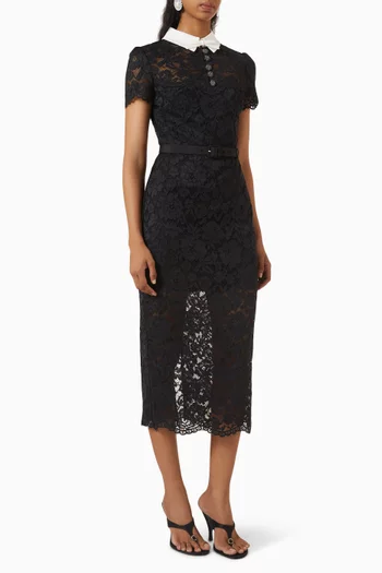 Contrast Collar Midi Dress in Lace