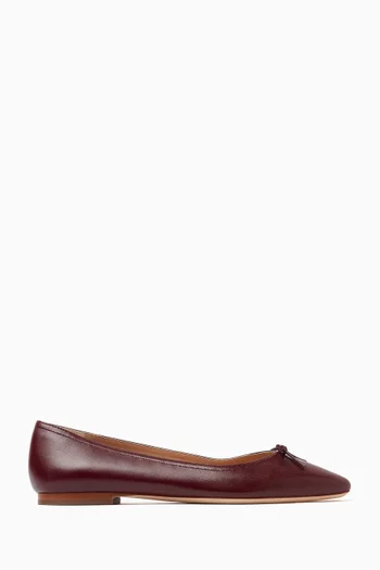Cailey Ballerina Flats in Leather