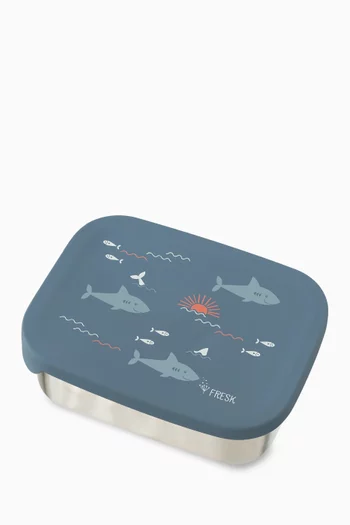 Stainless Steel Lunchbox