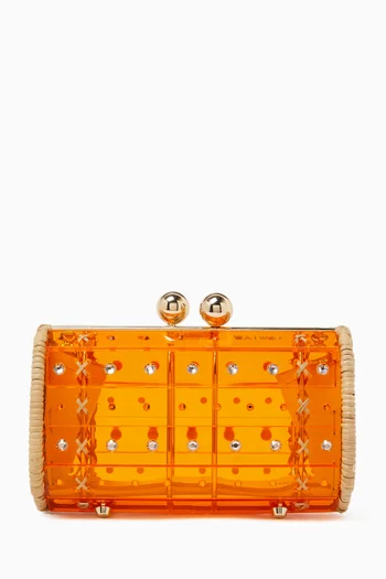 Crystal-embellished Clutch in Acrylic