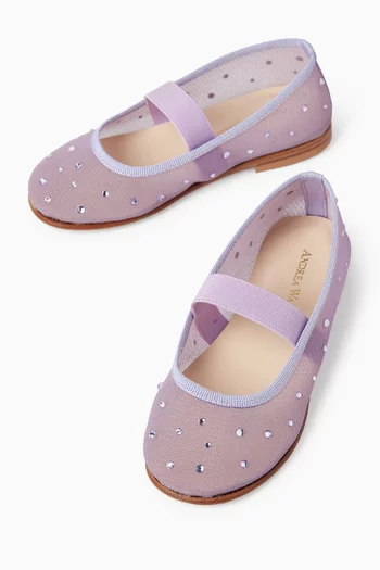 Barbara Mini Glitz Ballerina Pumps in Mesh