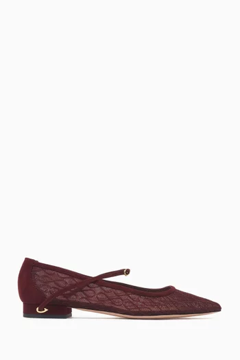 Lorenzo Ballet Flats in Suede & Mesh